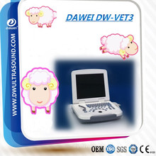 DW-500 Laptop medical ultrasound scanner vet ultrasound for animal use